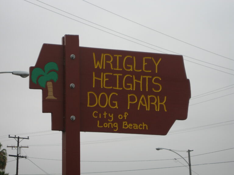wrigley dog park 025 (2016_03_03 15_35_32 UTC)