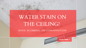 Ceiling with a brown water stain and dark mold spots spreading around it, a sign of a past or ongoing leak